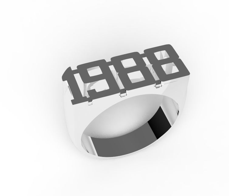 ring 1988 3D print model_7