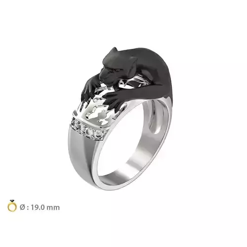 N038 Jaguar ring