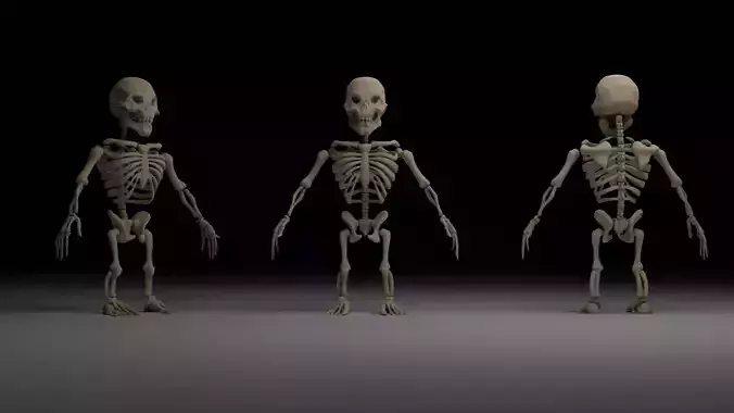 Mini Skeleton Low-poly 3D model