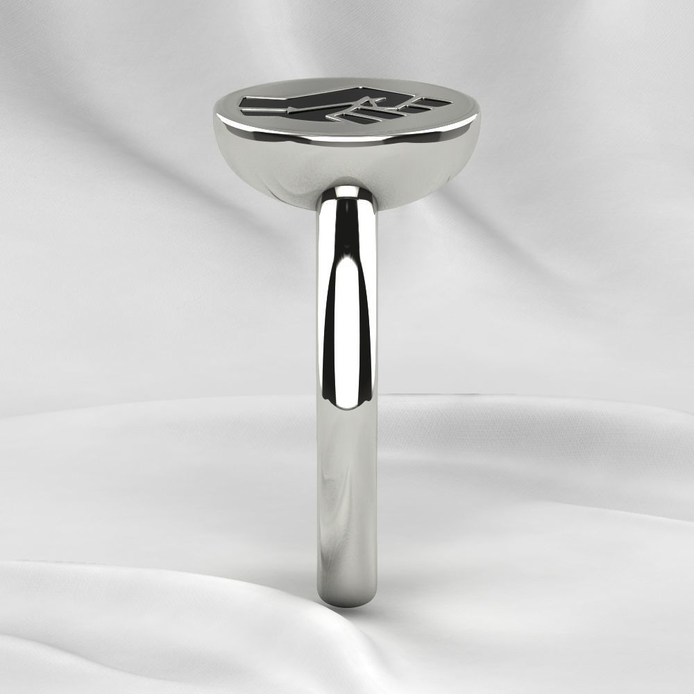 Black Lives Matter Two Rings with Rhodium Plating and Enamel 3D print model_15