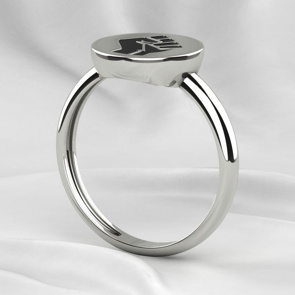 Black Lives Matter Two Rings with Rhodium Plating and Enamel 3D print model_11
