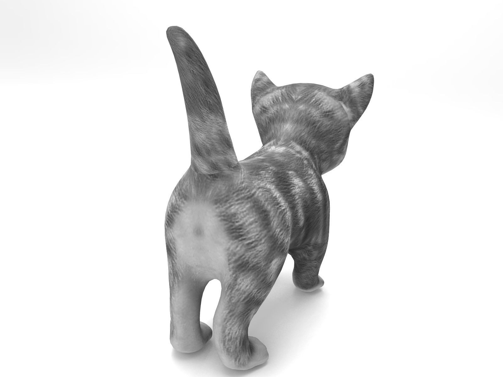 3D Cartoon cute cat Low-poly 3D model_1