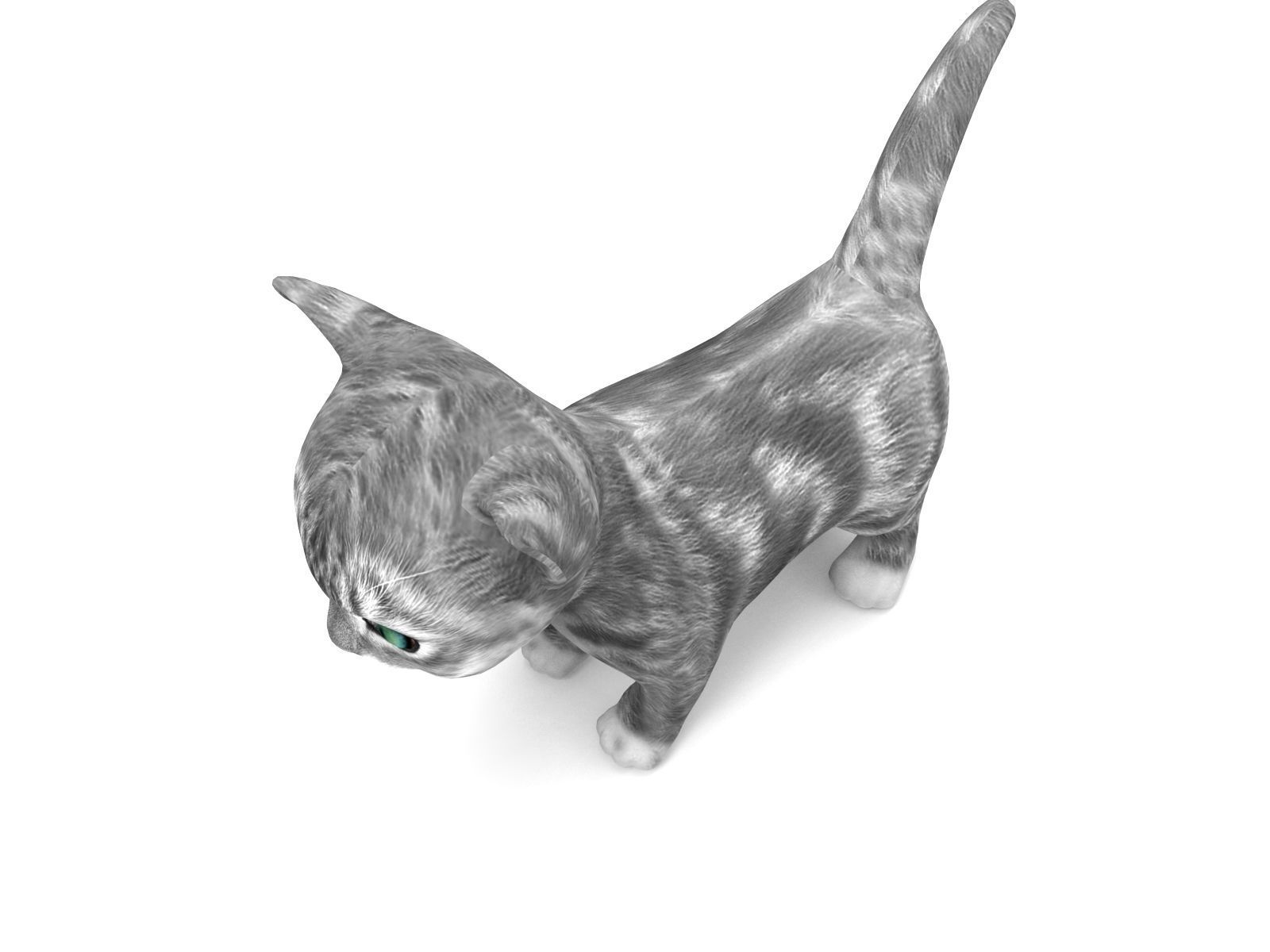 3D Cartoon cute cat Low-poly 3D model_4