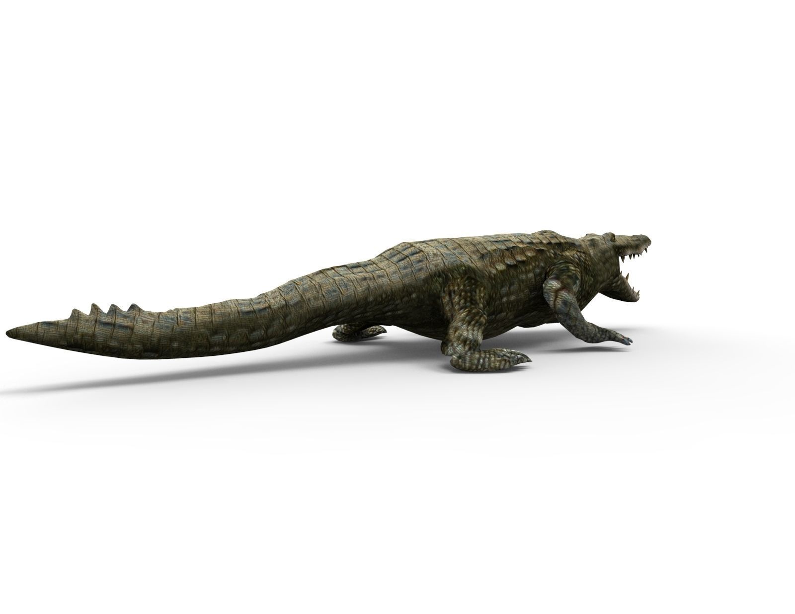 Crocodile 3D Models game ready low poly model 3D model_9