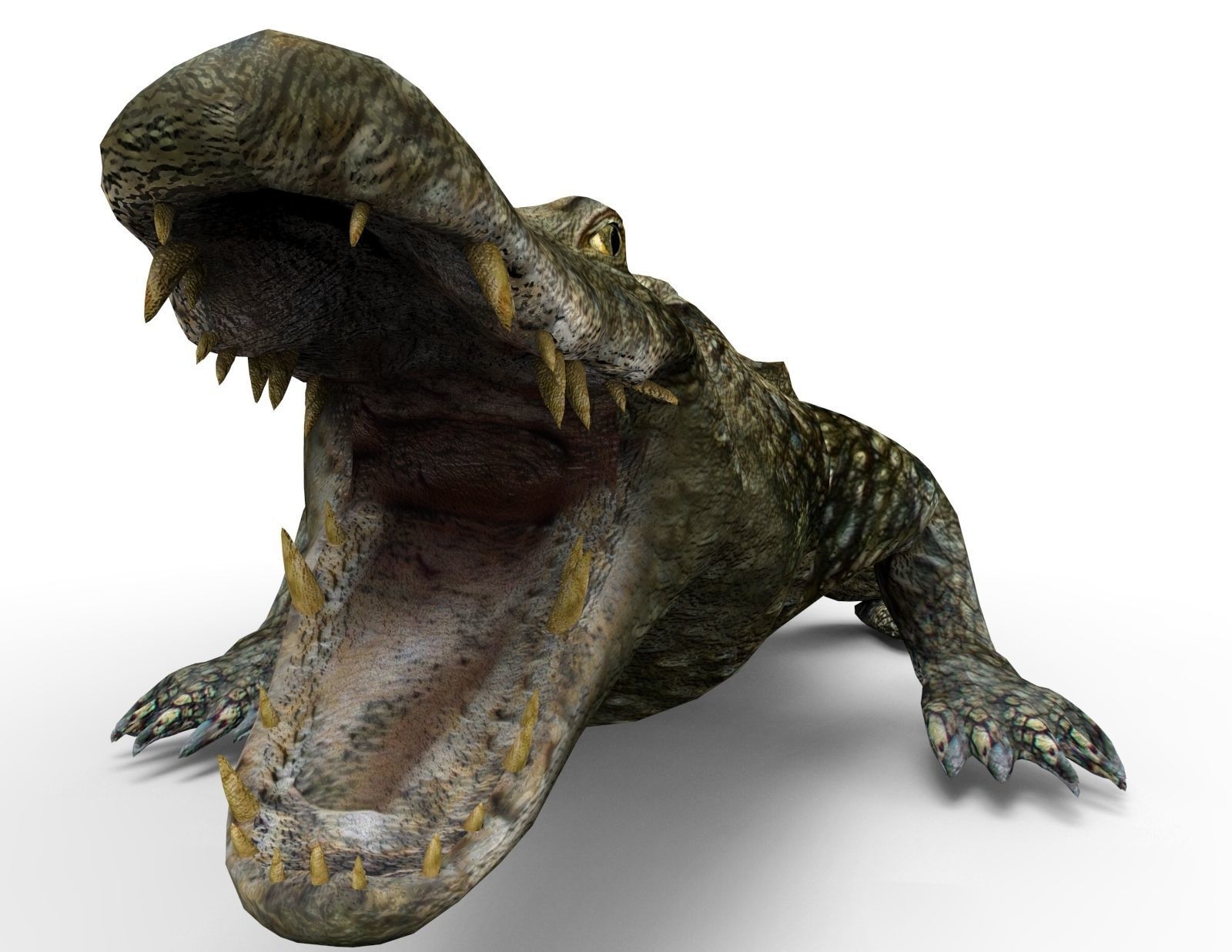 Crocodile 3D Models game ready low poly model 3D model_12