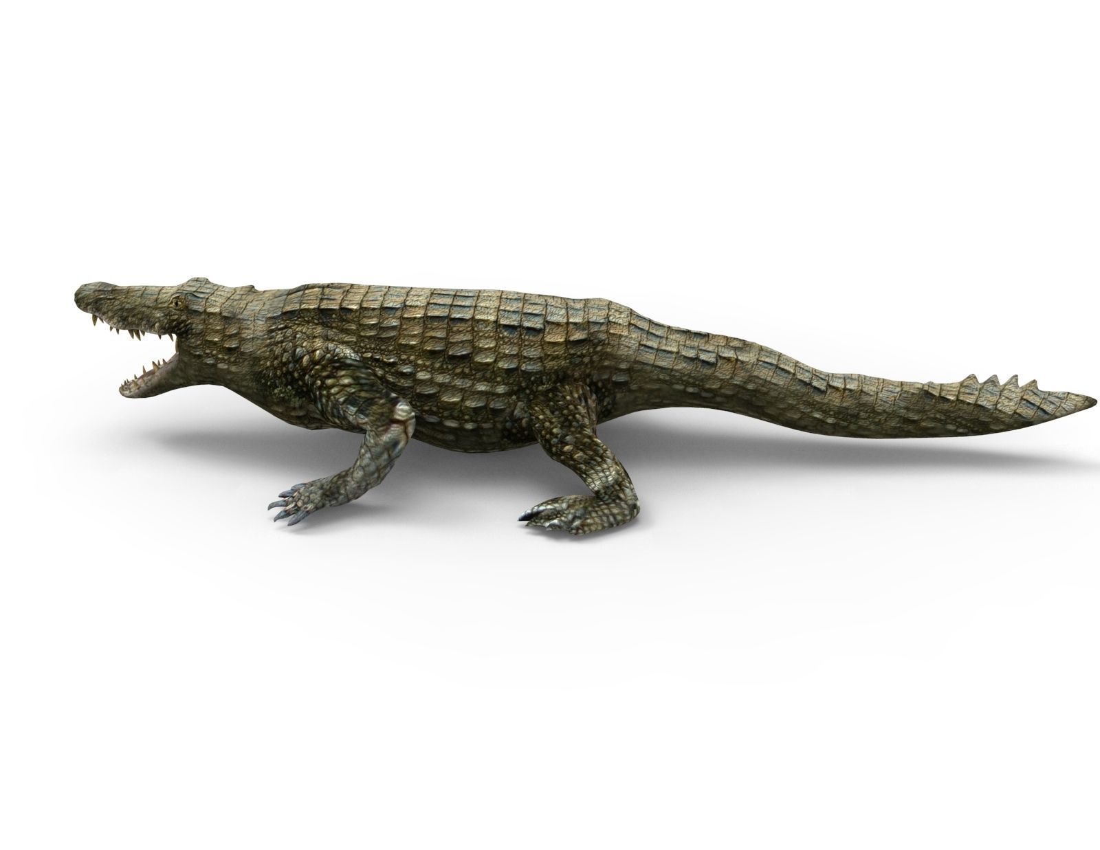 Crocodile 3D Models game ready low poly model 3D model_6