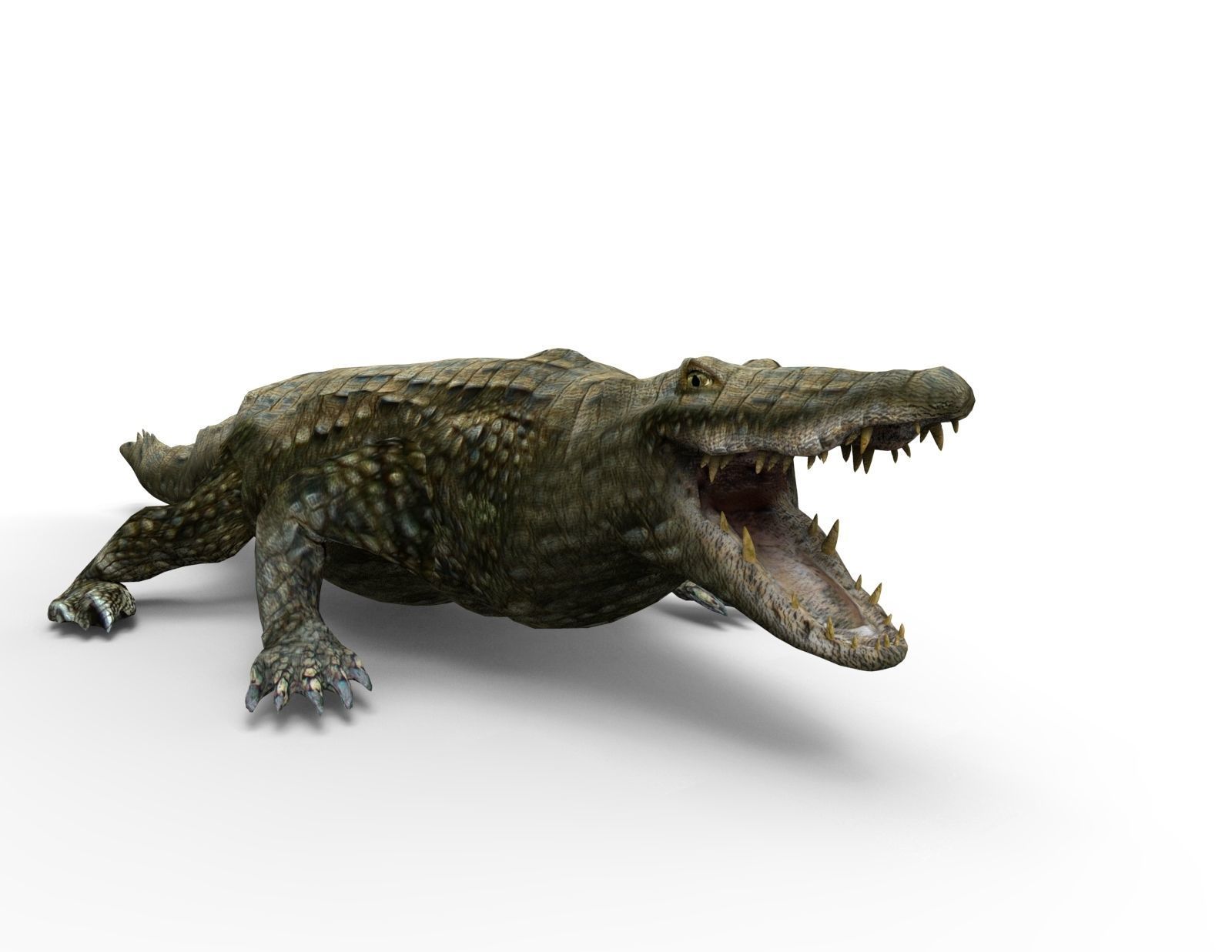 Crocodile 3D Models game ready low poly model 3D model_11
