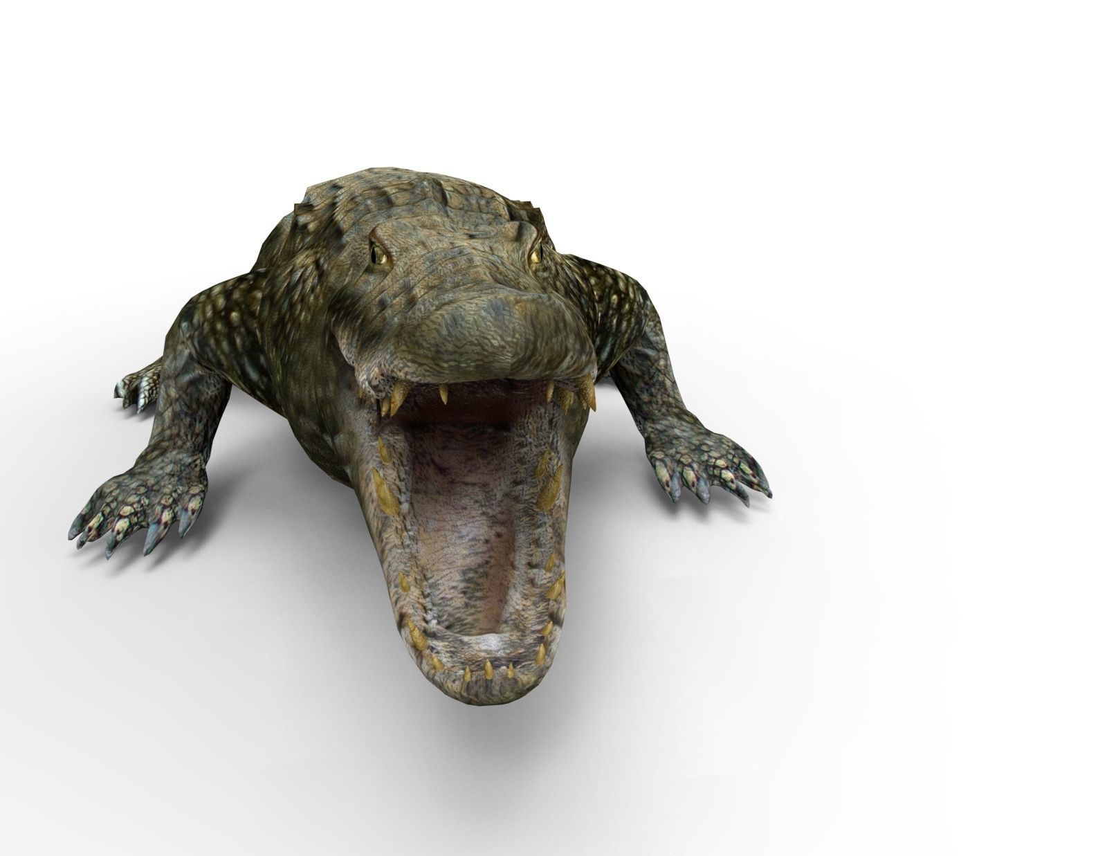 Crocodile 3D Models game ready low poly model 3D model_2