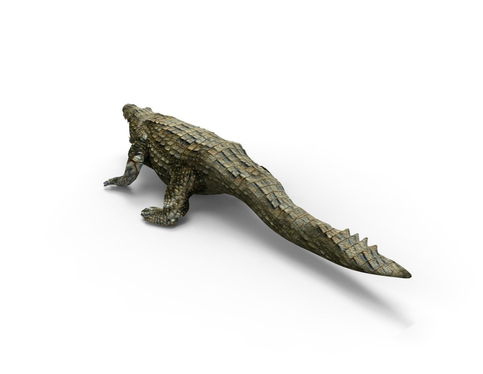 Crocodile 3D Models game ready low poly model 3D model_7