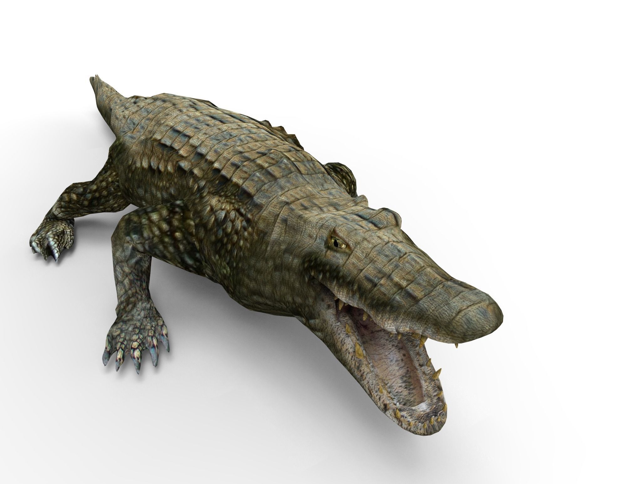 Crocodile 3D Models game ready low poly model 3D model_1