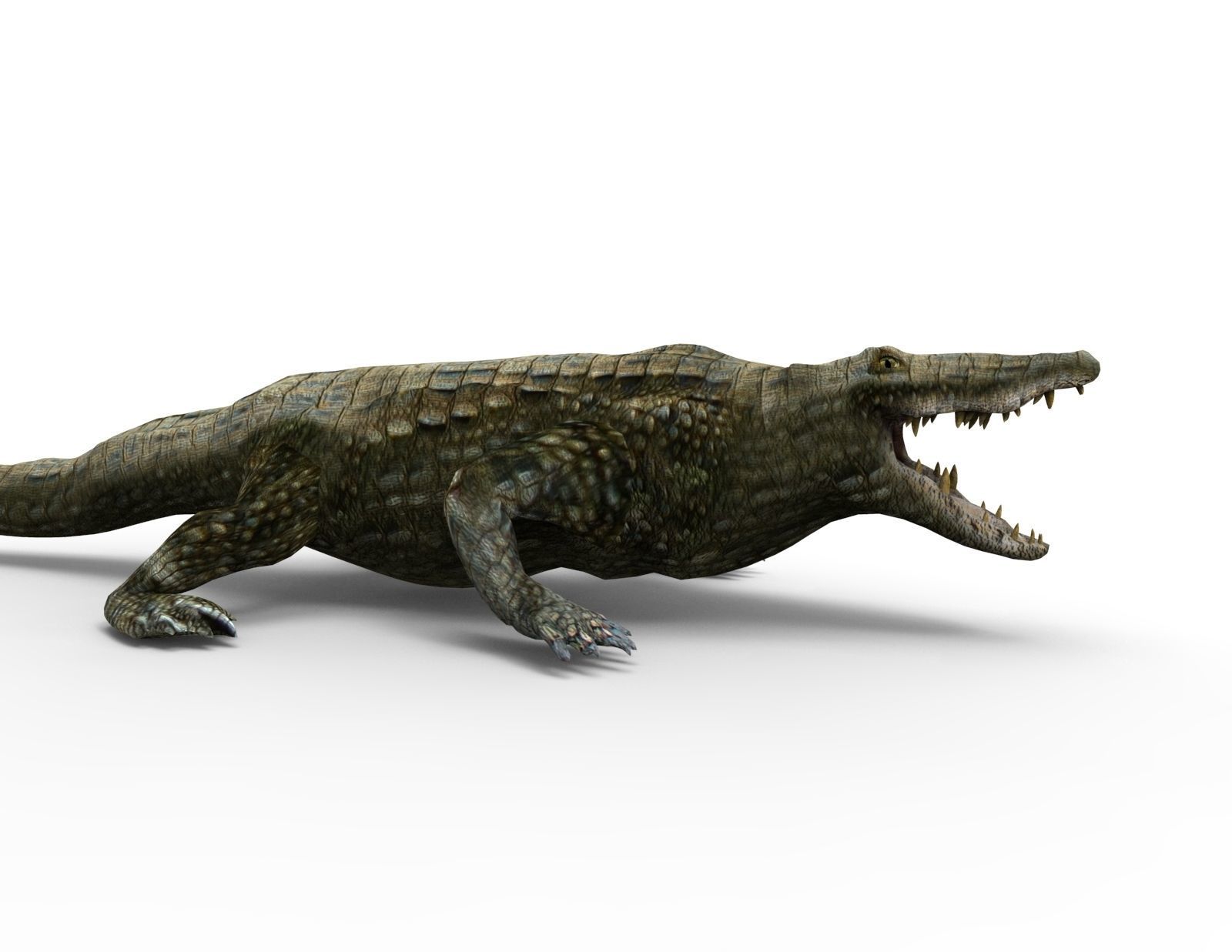 Crocodile 3D Models game ready low poly model 3D model_10