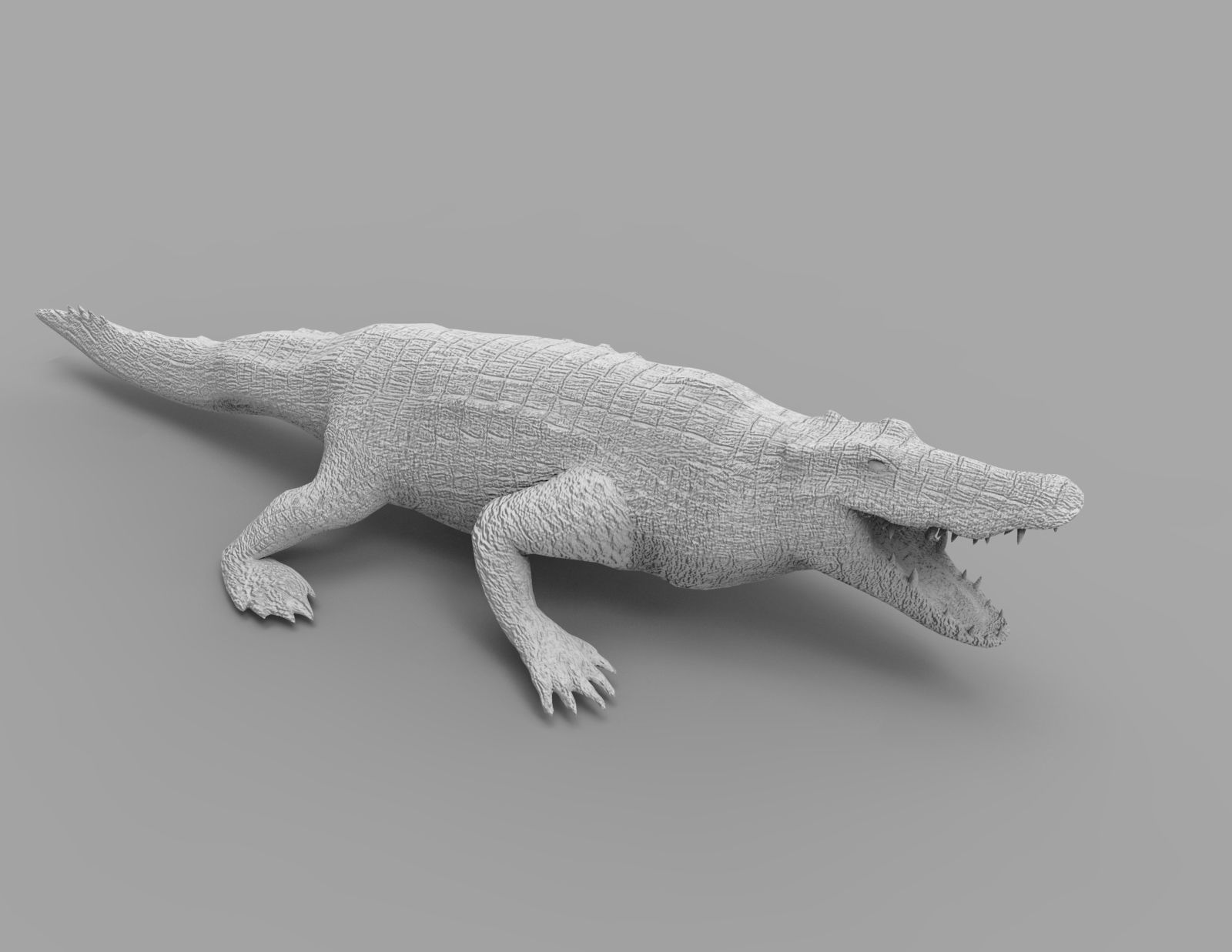 Crocodile 3D Models game ready low poly model 3D model_22