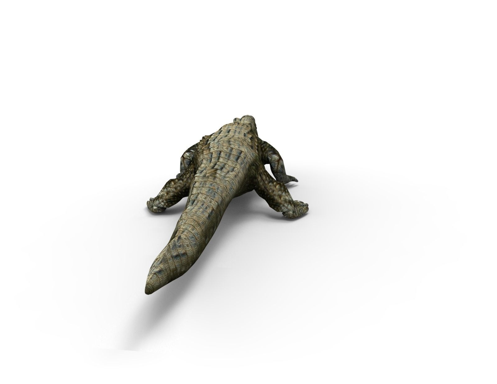 Crocodile 3D Models game ready low poly model 3D model_8