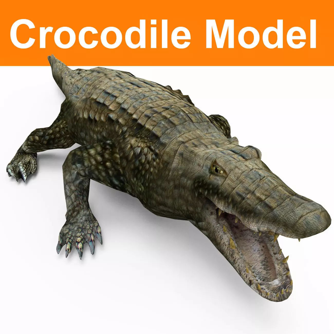 Crocodile 3D Models game ready low poly model 3D model_0