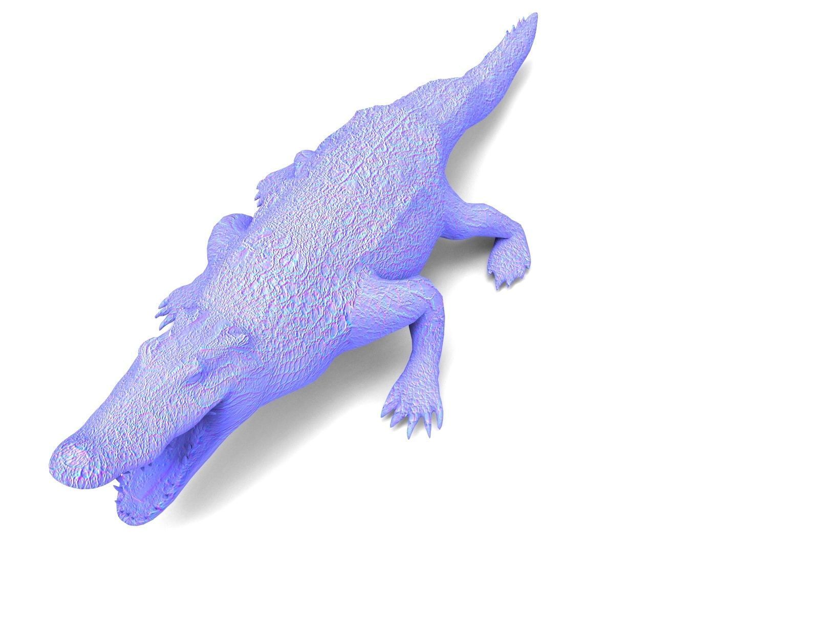 Crocodile 3D Models low poly model Low-poly 3D model_20