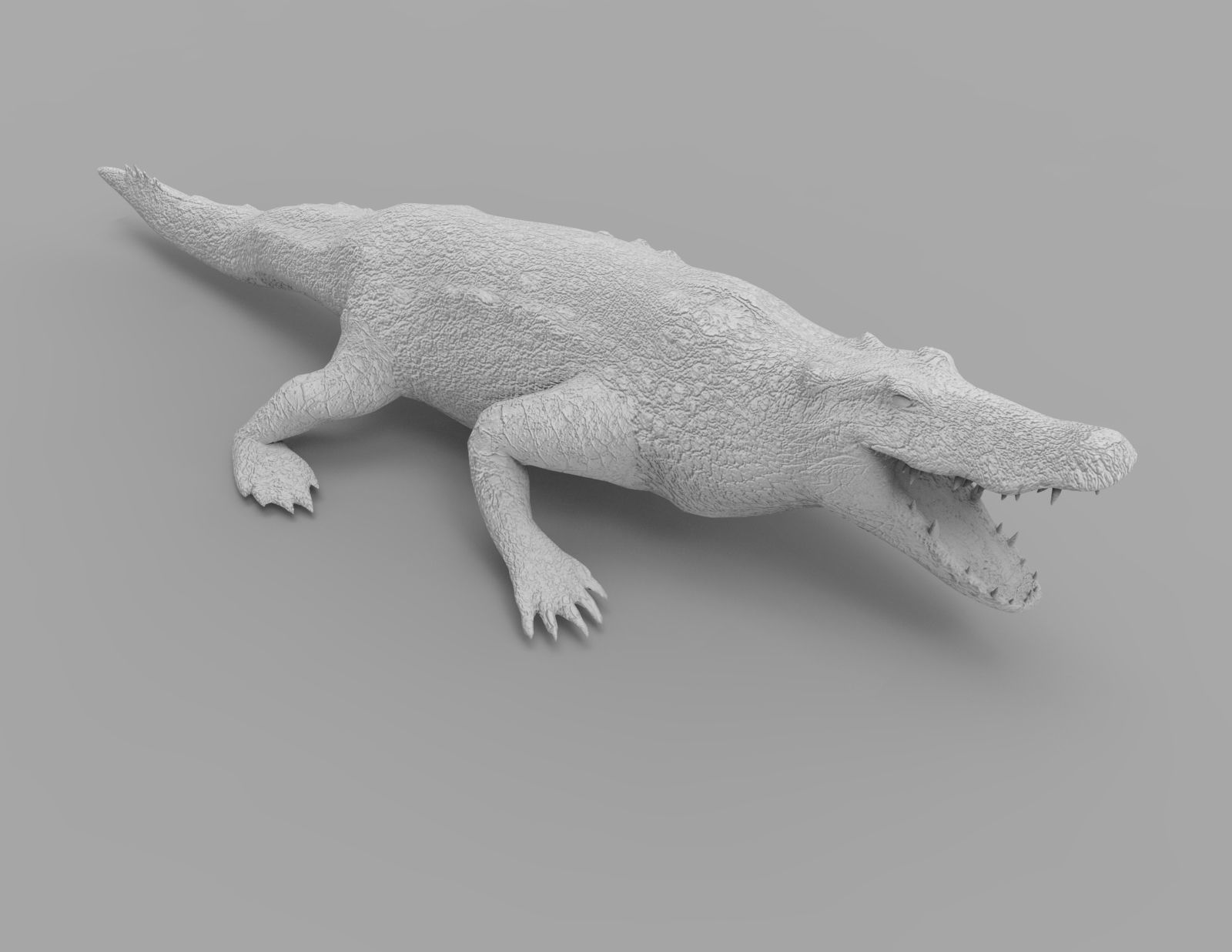 Crocodile 3D Models low poly model Low-poly 3D model_23