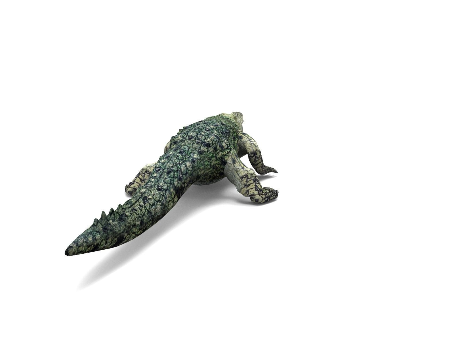 Crocodile 3D Models low poly model Low-poly 3D model_6