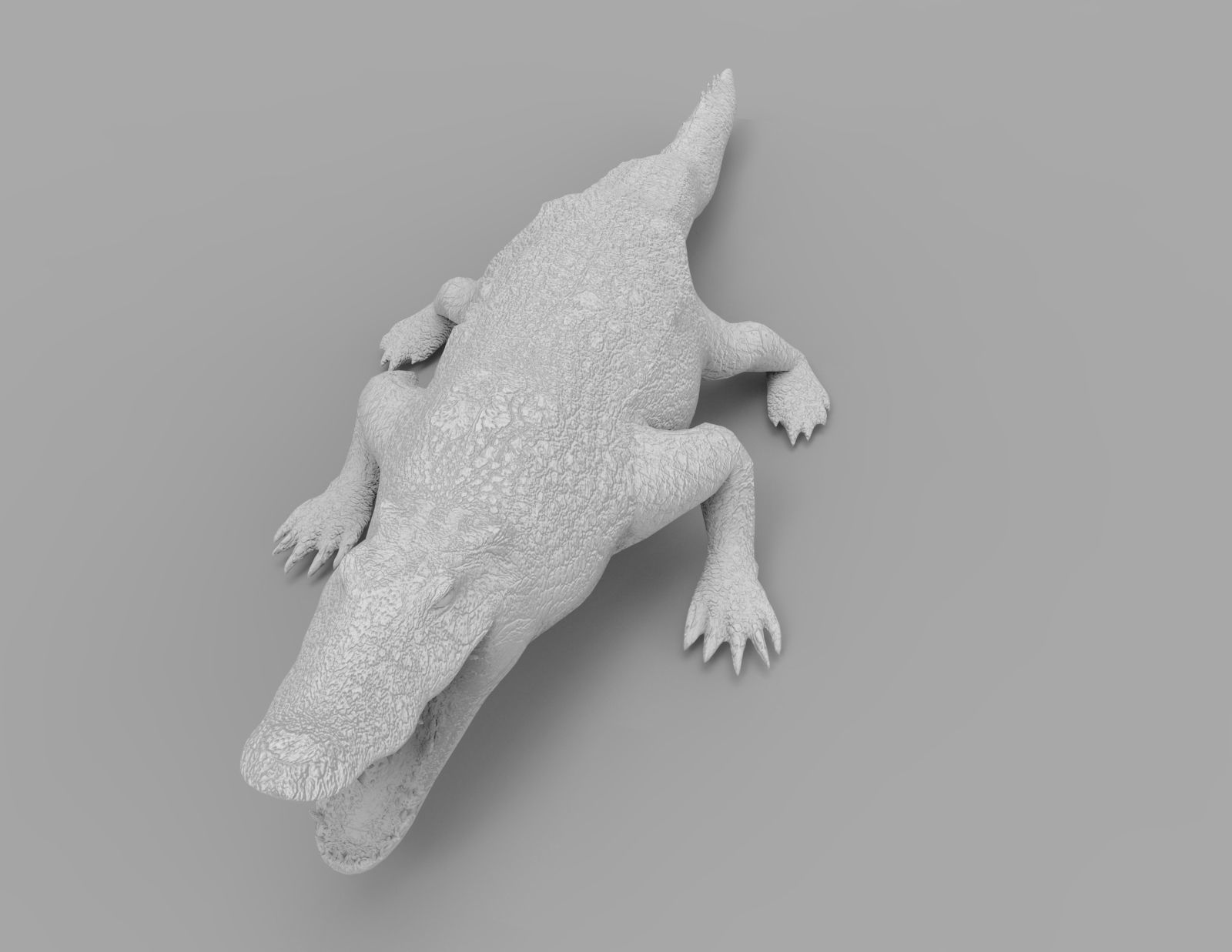 Crocodile 3D Models low poly model Low-poly 3D model_24