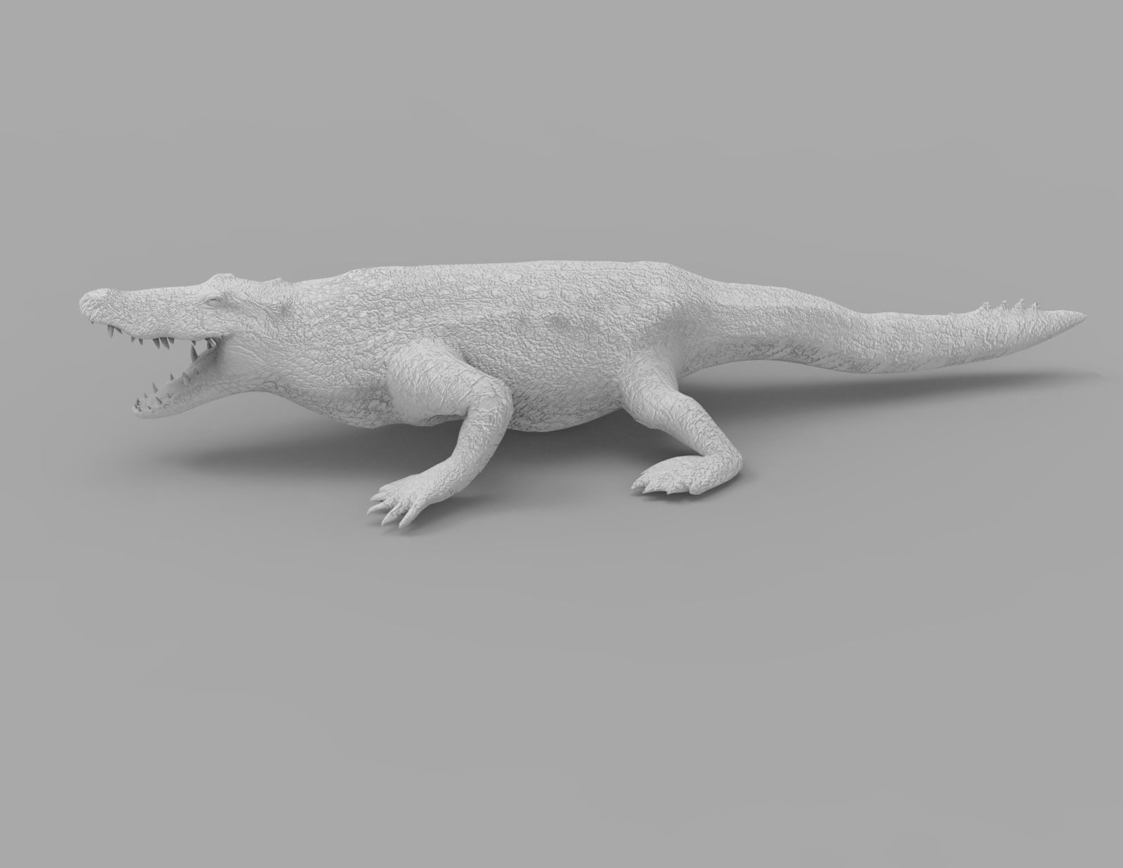 Crocodile 3D Models low poly model Low-poly 3D model_25