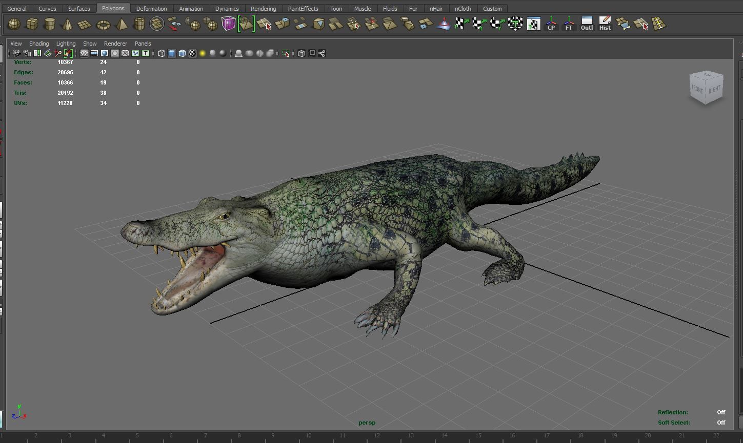 Crocodile 3D Models low poly model Low-poly 3D model_12