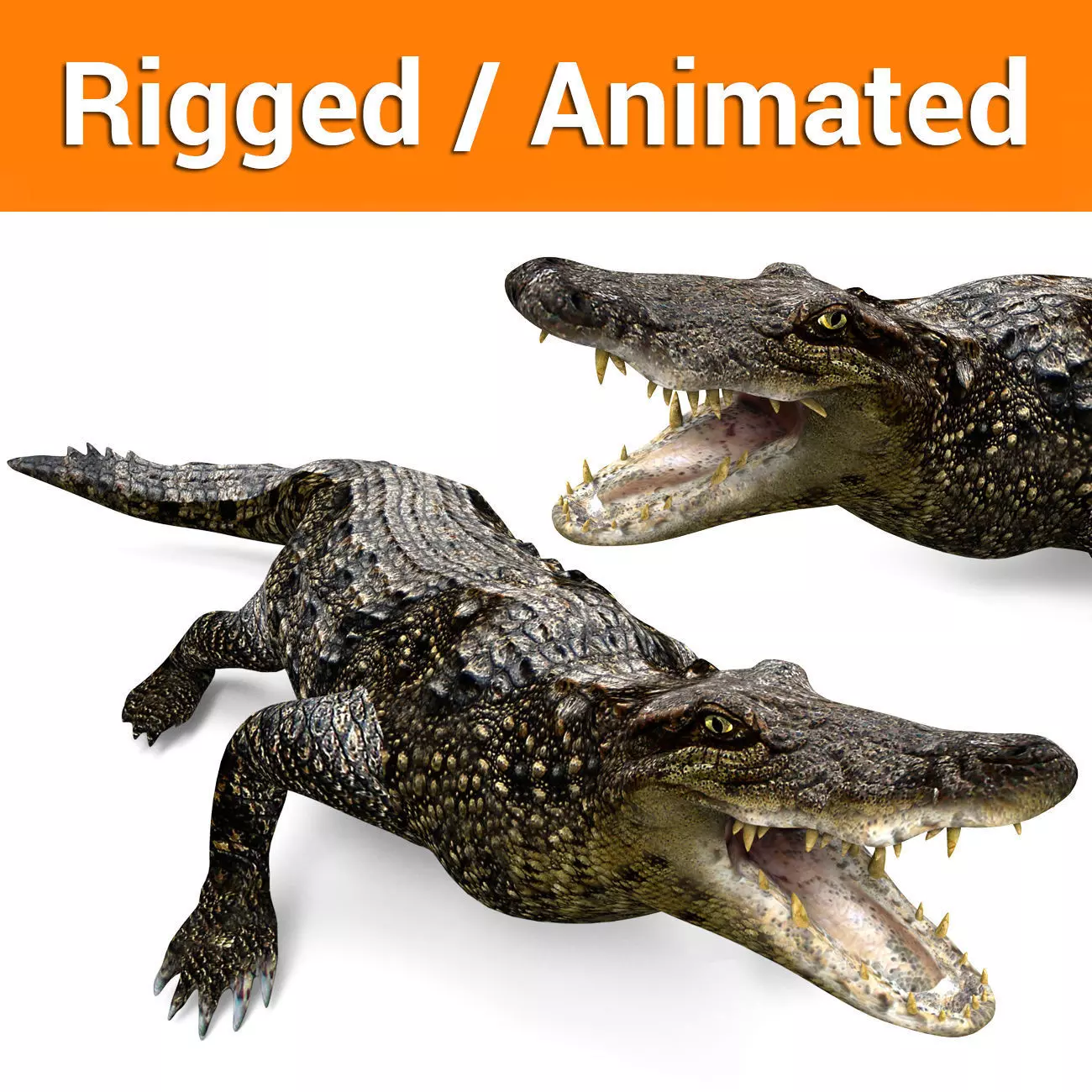 crocodile rigged with animated 3d model Low-poly 3D model