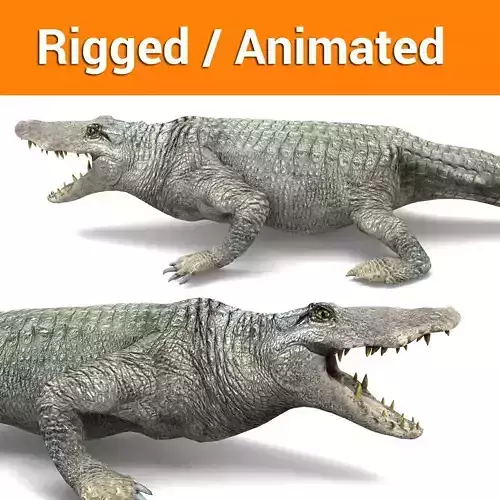 crocodile Rigged  animated 3D Model Low-poly 3D model