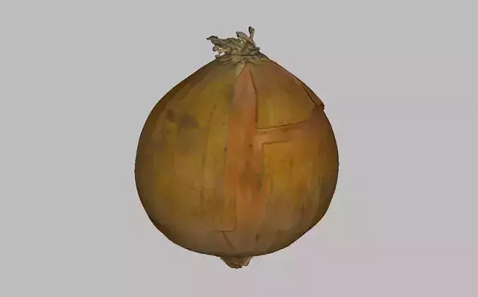 Onion Low-poly 3D model