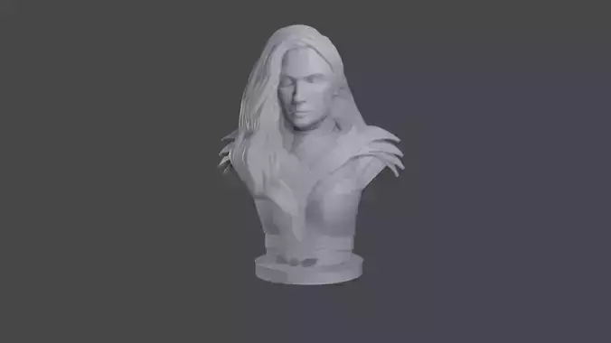 Wonder Woman 1984 bust 3D print model