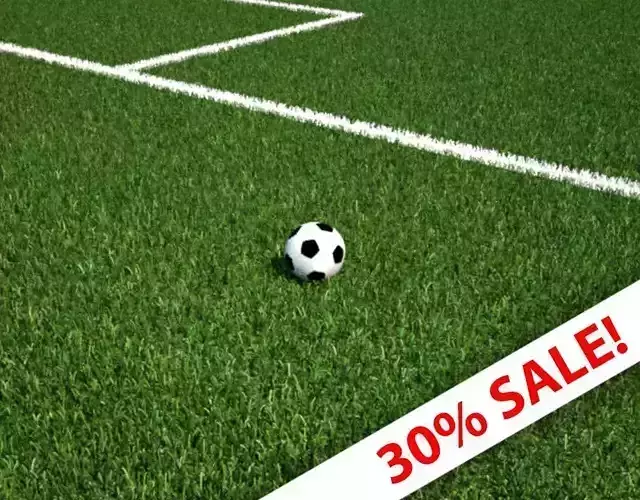 Rigged - Football - Soccer Ball - Squash and Stretch 3D model Low-poly 3D model