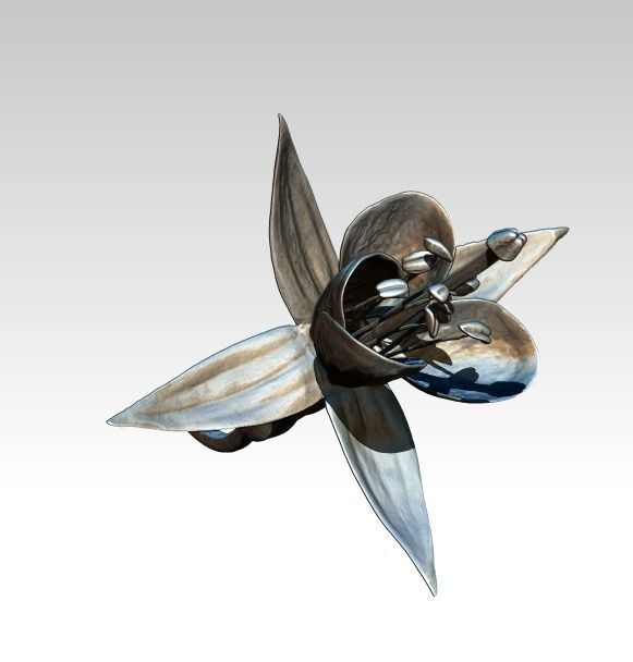 Fuchsia flower 3D print model_2