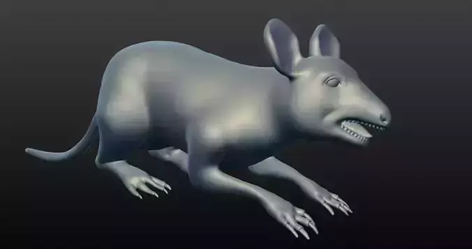 rat 3d model 3D model