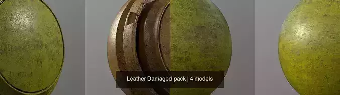 Leather Damaged pack