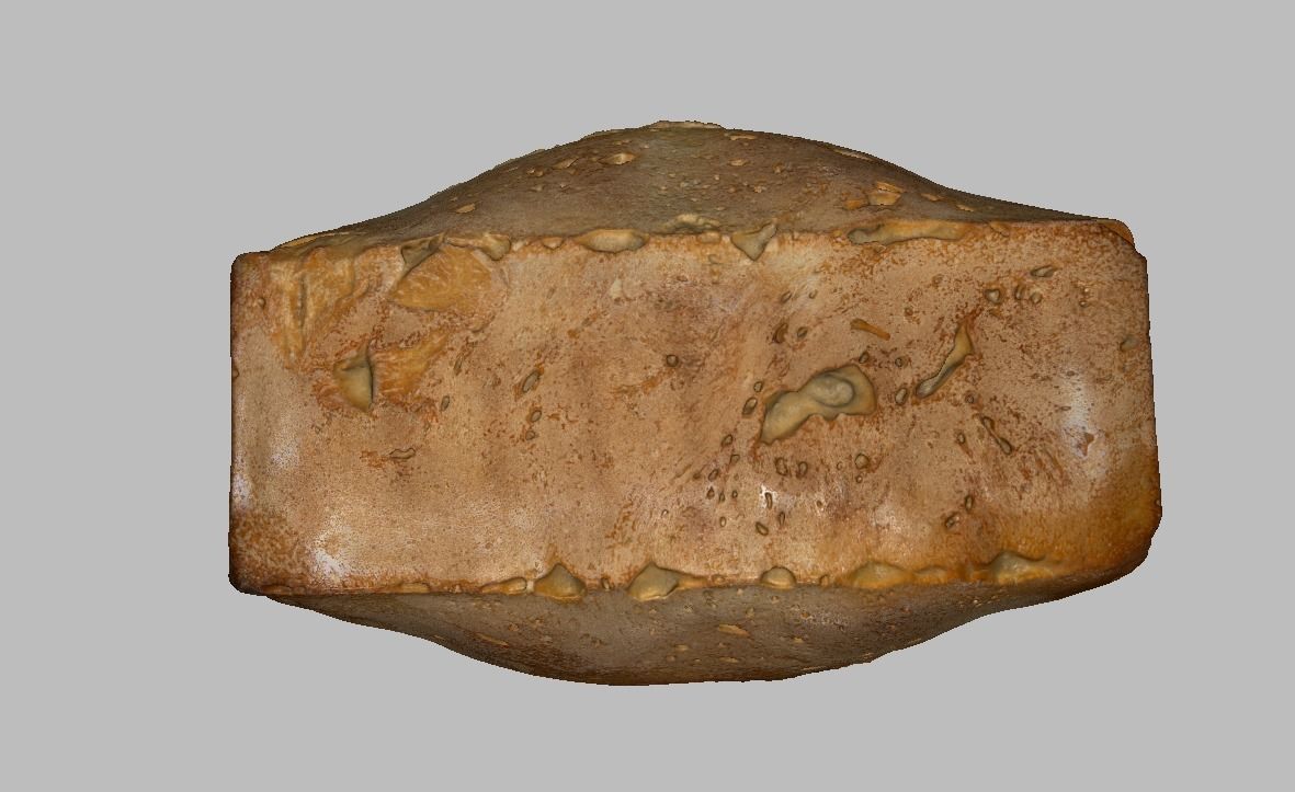 Bread homemade  Low-poly 3D model_5