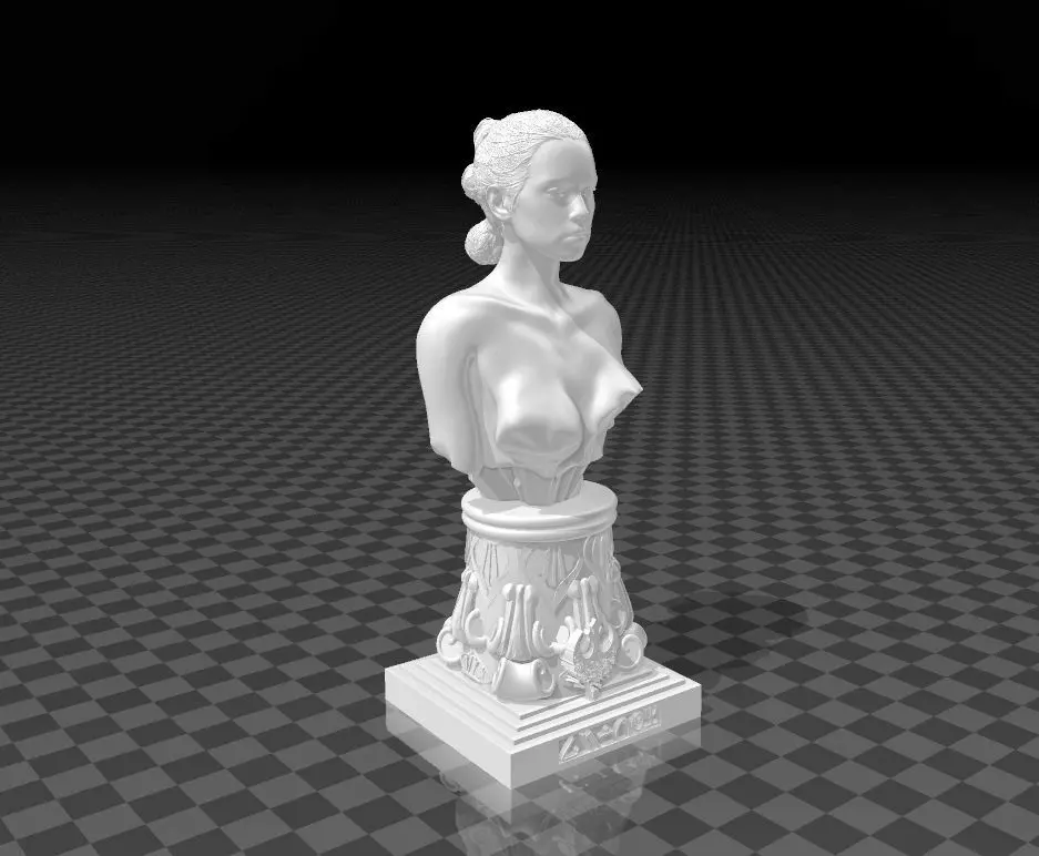 Rey Skywalker Bust 3D print model_0