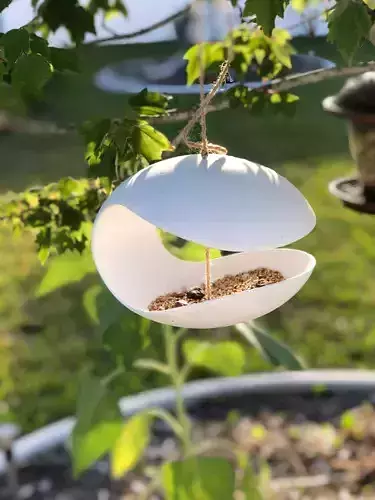 Bird Feeder - Mobius Clam
