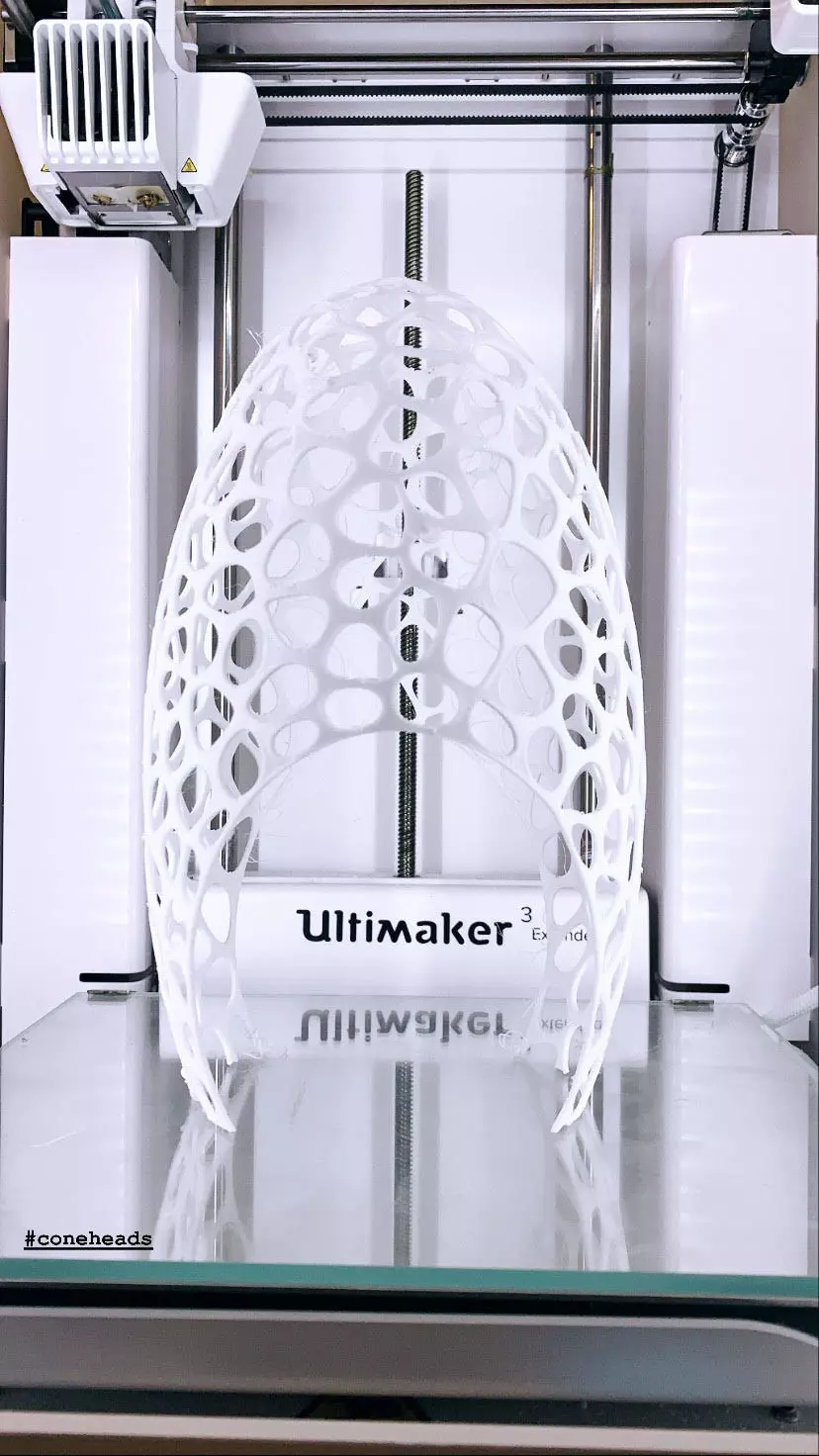 Bird Feeder - Mobius Egg Voronoi 3D print model_0