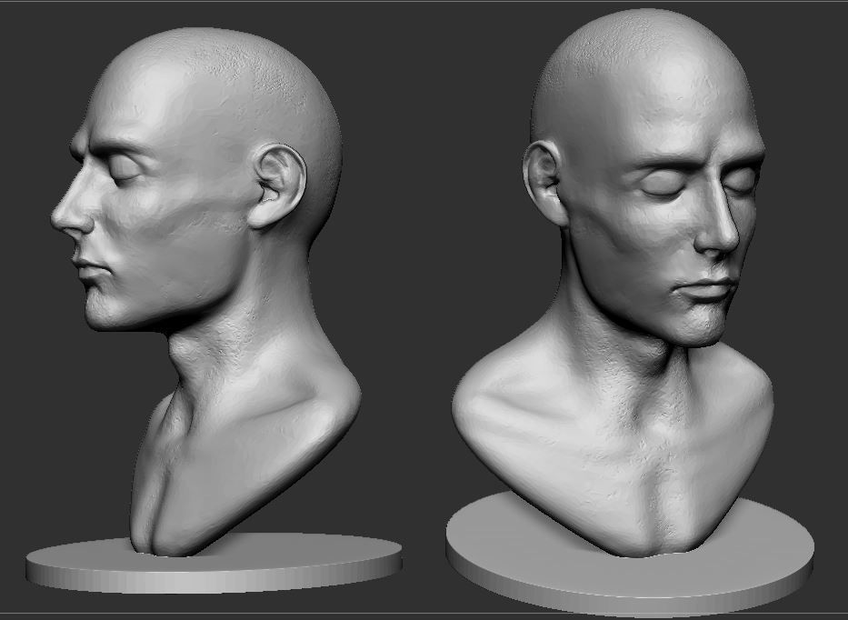 3D print model Male Bust CGTrader