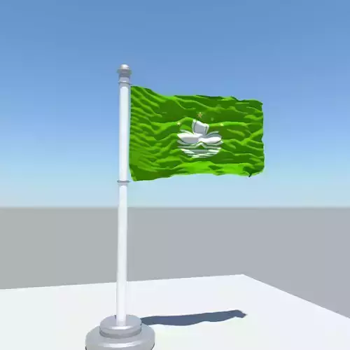 Macau flag