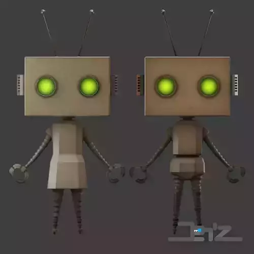 Rusty Litlle Couple Robot