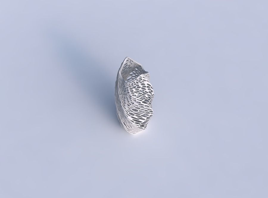 Vase twisted double arc hexagon with dense twisted organic la... 3D print model_1