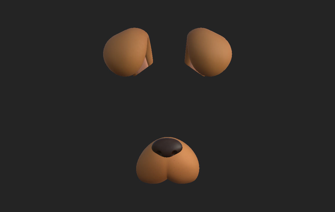 Dog Face 3D model_11