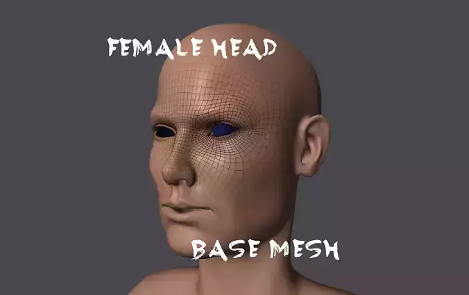 Female Head Base Mesh Low-poly 3D model