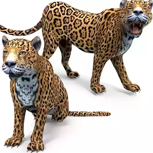 Rigged And Animated Leopard Low-poly 3D model