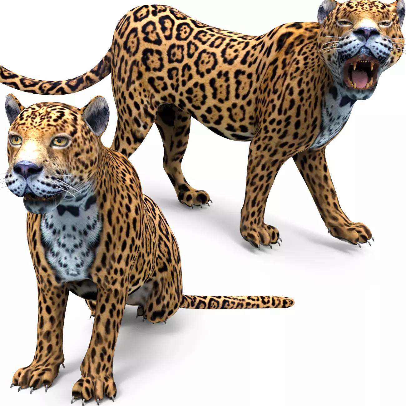 Rigged And Animated Leopard Low-poly 3D model_0
