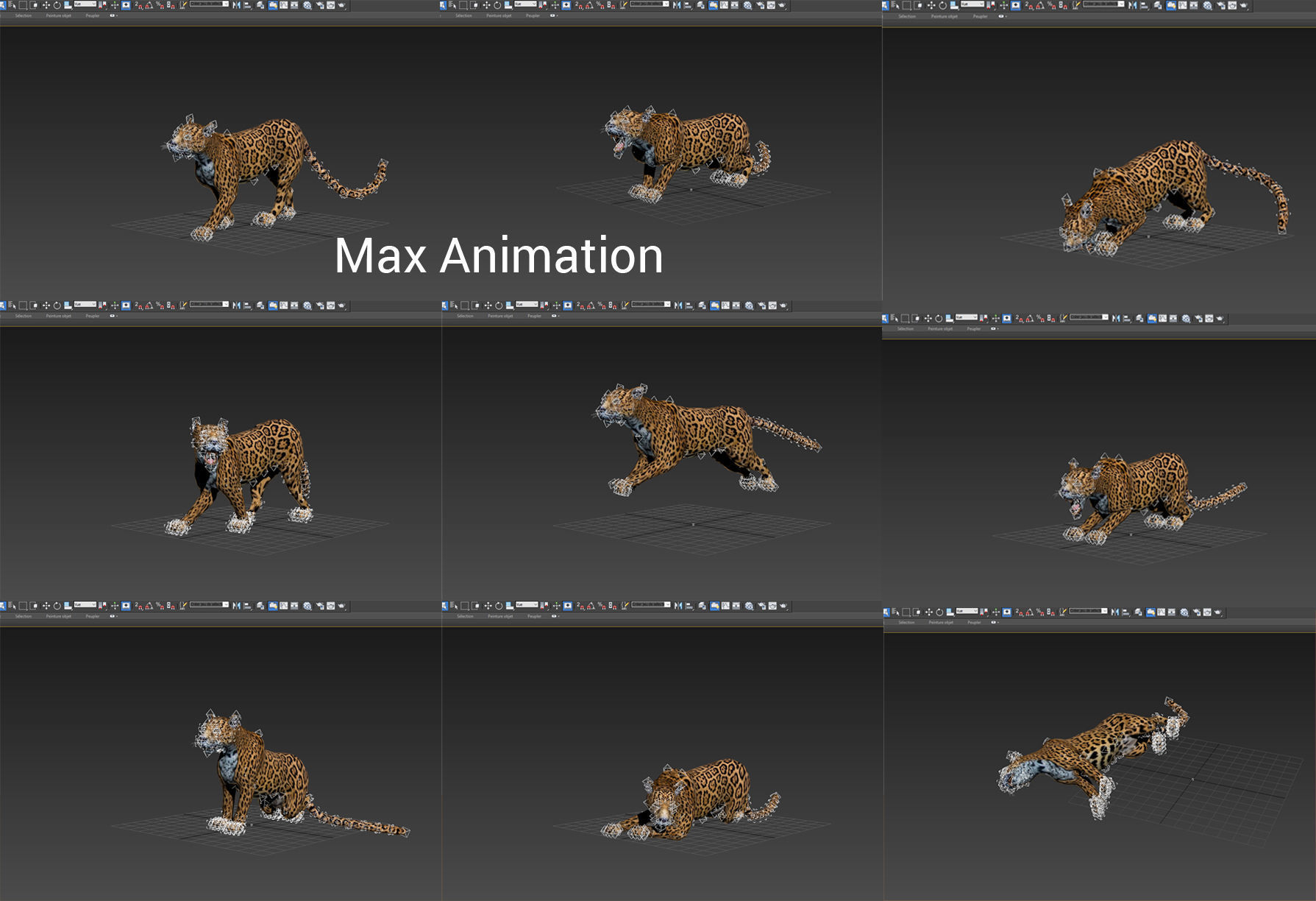 Rigged And Animated Leopard Low-poly 3D model_24