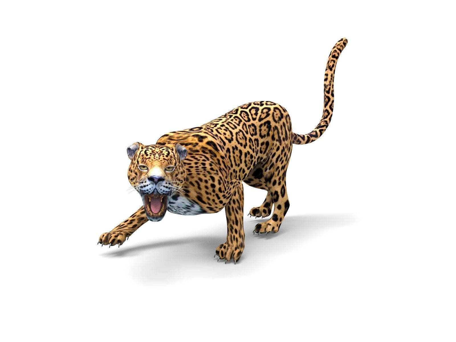 Rigged And Animated Leopard Low-poly 3D model_8