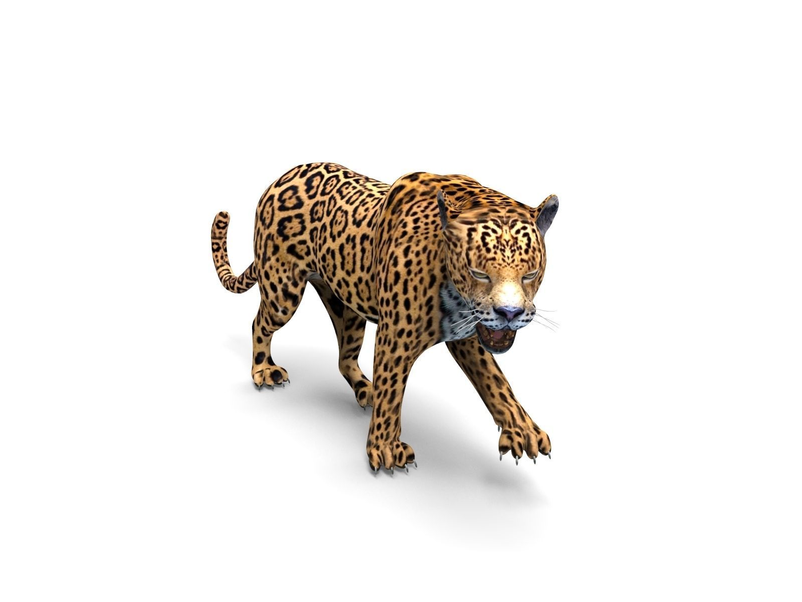 Rigged And Animated Leopard Low-poly 3D model_17