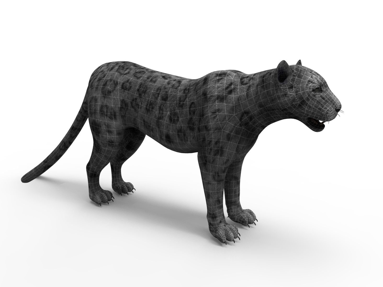 Rigged and Animated White Leopard 3D Low-poly 3D model_22