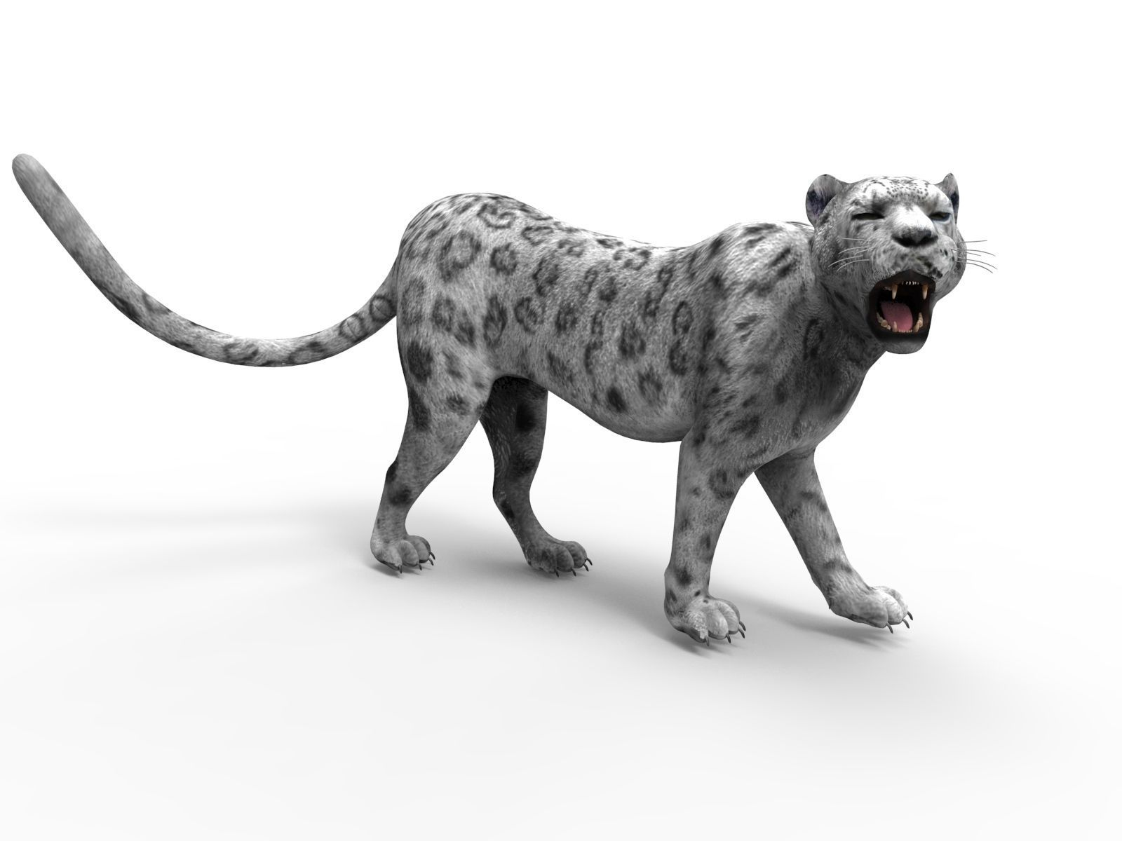 Rigged and Animated White Leopard 3D Low-poly 3D model_20