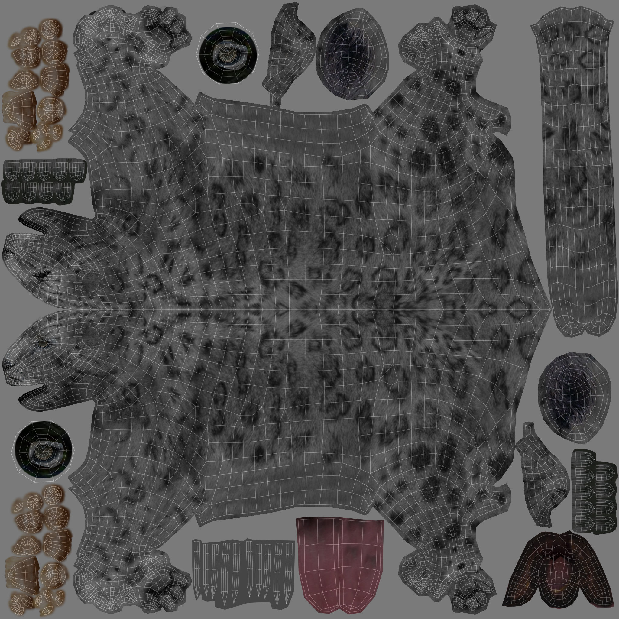 Rigged and Animated White Leopard 3D Low-poly 3D model_34